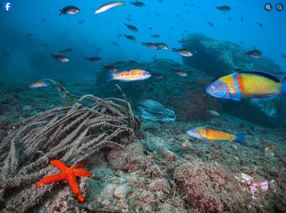 Roquetas Costa Leilighet Roquetas de Mar Eksteriør bilde